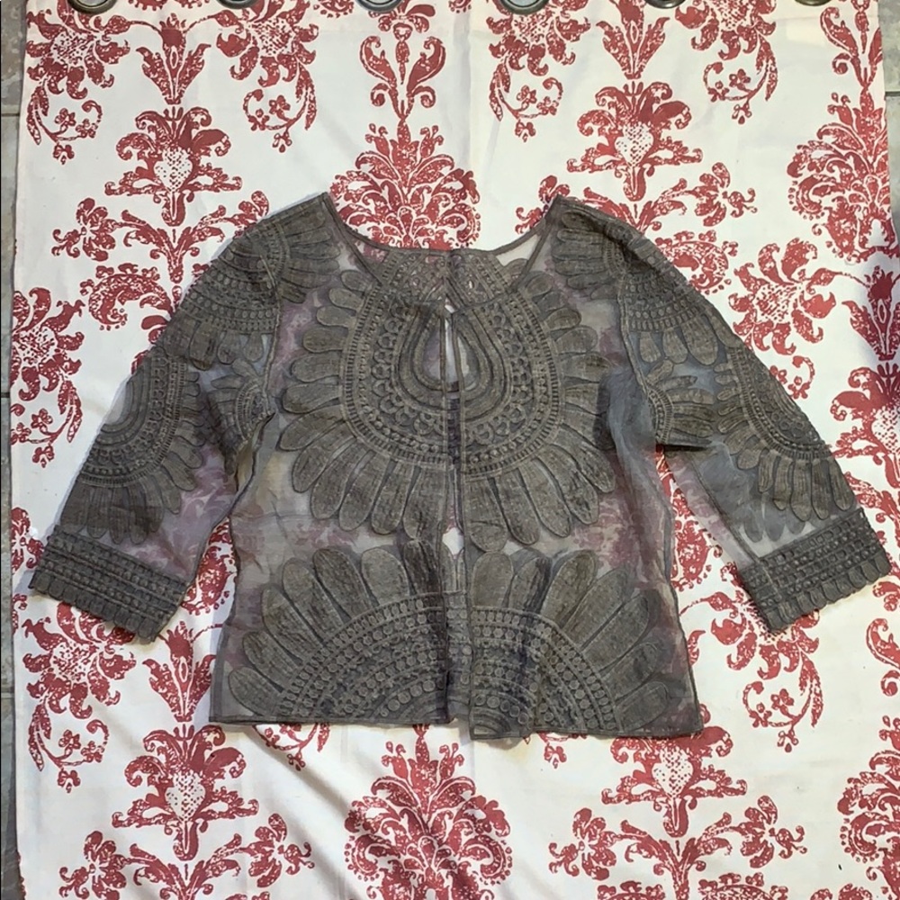 Embroidered Sheer Blouse/Jacket